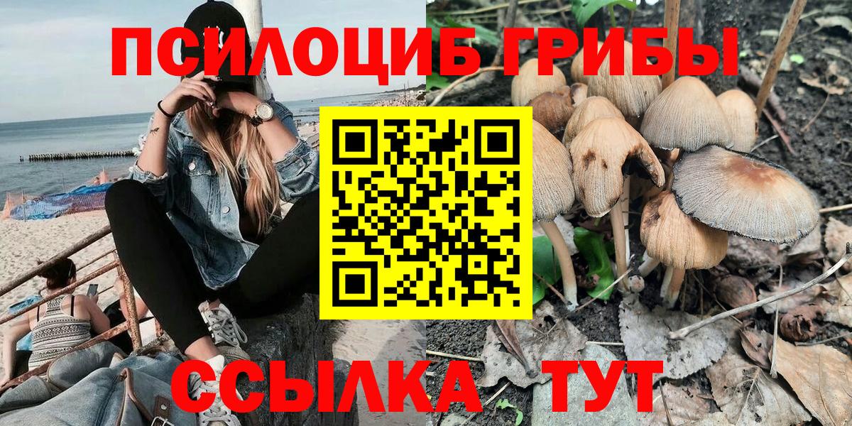 Галлюциногенные грибы мицелий  Вход с VPN  Курчатов 